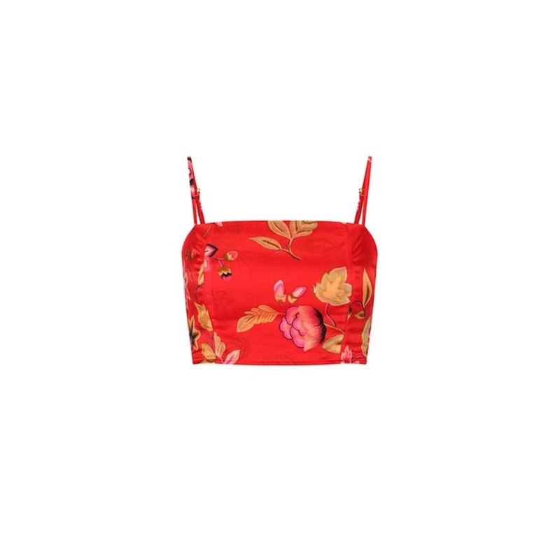 POMEGRANATE BUSTIER TOP
