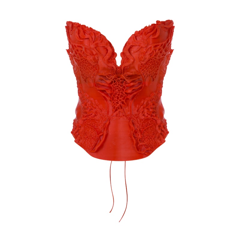 3D PRINT CORSET TOP