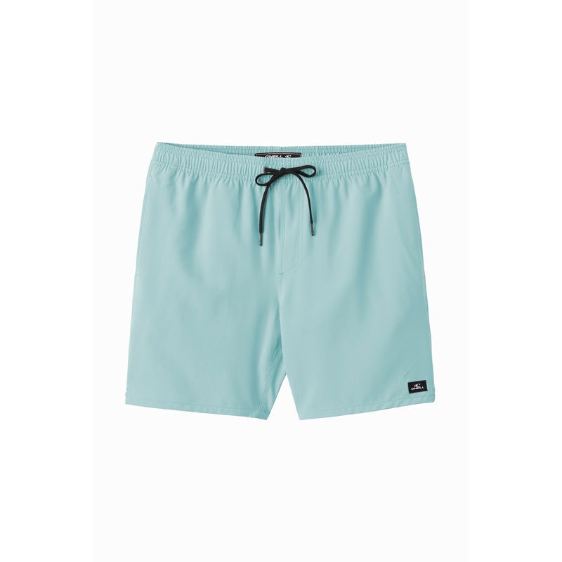 LENNOX HERMOSA SOLID 17″ SWIM TRUNKS