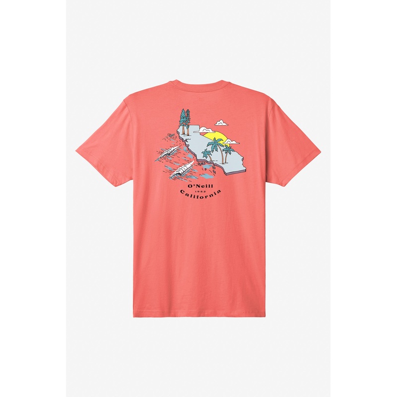 BIRDSEYE TEE