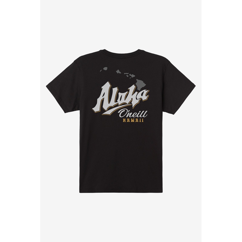AINA STANDARD FIT TEE
