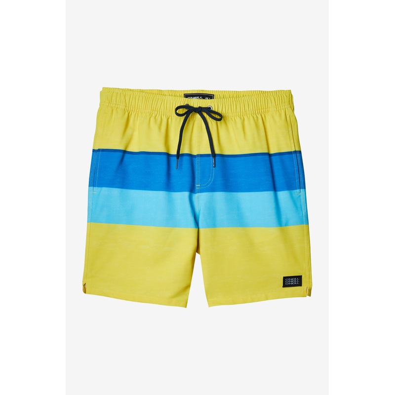 HERMOSA VOLLEY 17” BOARDSHORTS