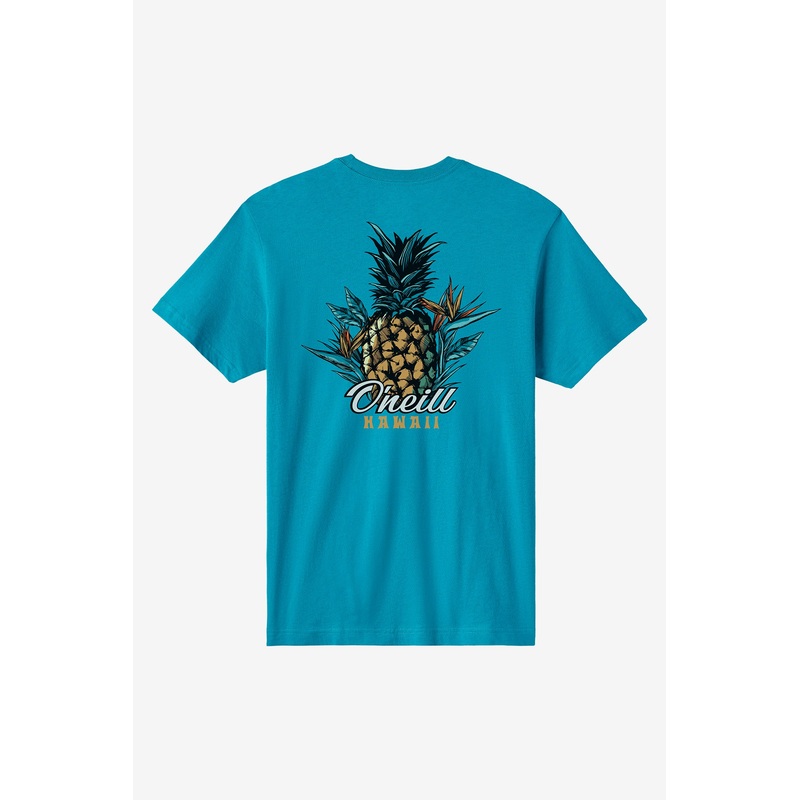 PINEAPPLES & BIRDS STANDARD FIT TEE